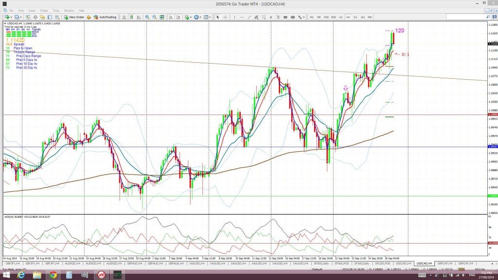 Loonie4hr