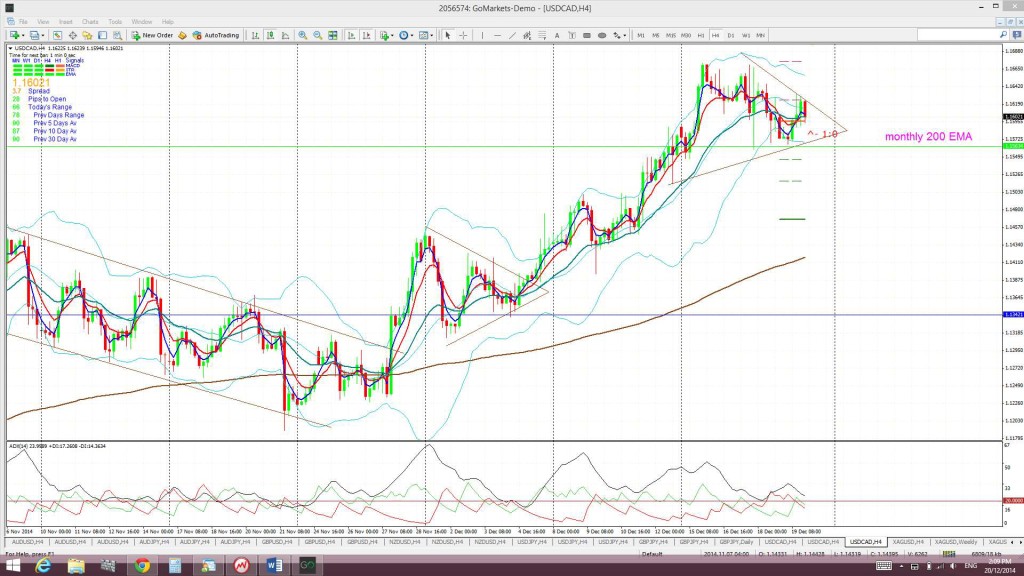 Loonie4hr