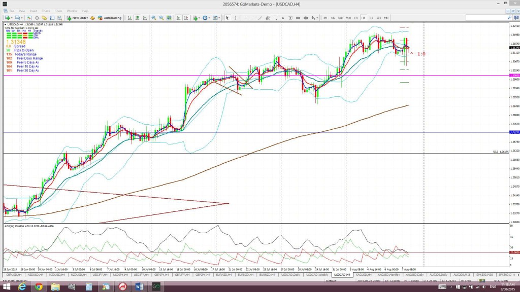 Loonie4hr